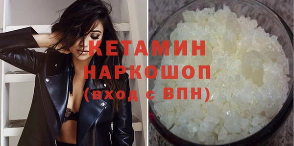 соль ск Новозыбков