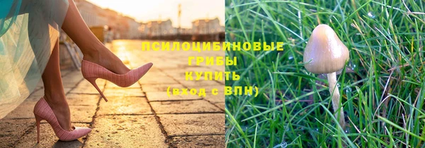 эйфоретик Нея