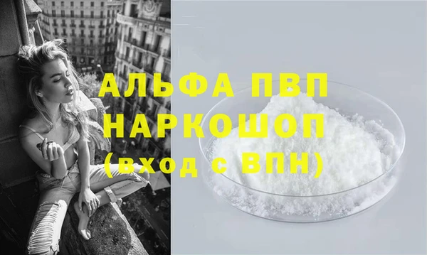 соль ск Новозыбков