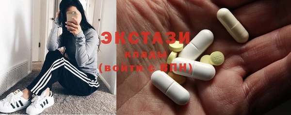 соль ск Новозыбков