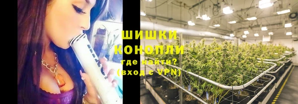 молекула духа Новодвинск