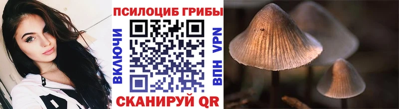 Псилоцибиновые грибы Psilocybine cubensis  дарнет шоп  Костерёво 